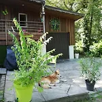 Titi's Дюрбюи