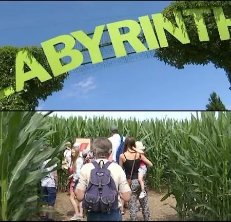 Titi's Alpesi faház