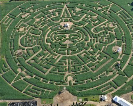 בקתה Titi's דורבורי