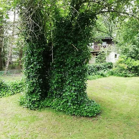 Titi's Chalet Durbuy