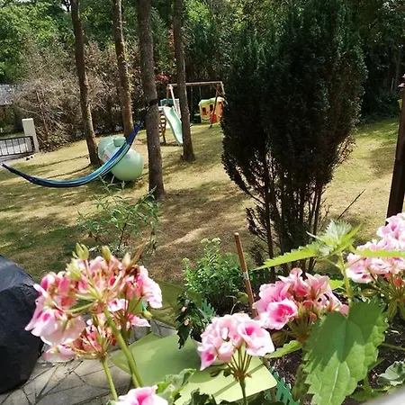 Alpesi faház Titi's *