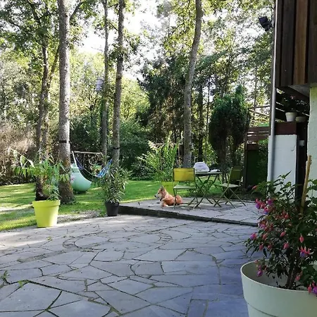 Alpesi faház Titi's *