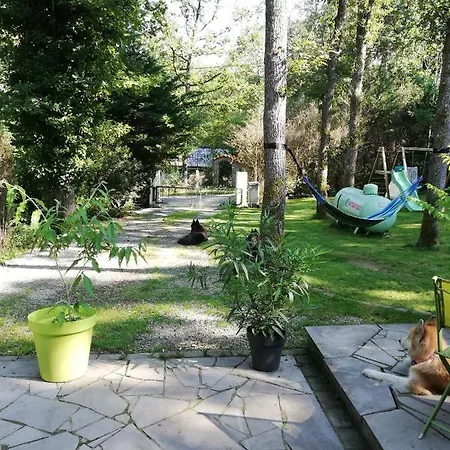 Titi's Chalet Durbuy