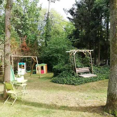 Titi's *